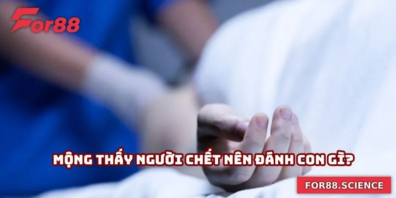 Mộng thấy người chết nên đánh con gì?